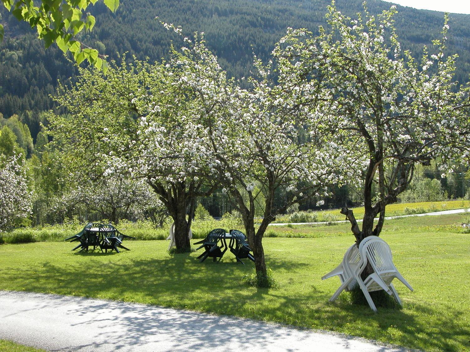 Smedsgarden Hotel Nesbyen Bagian luar foto