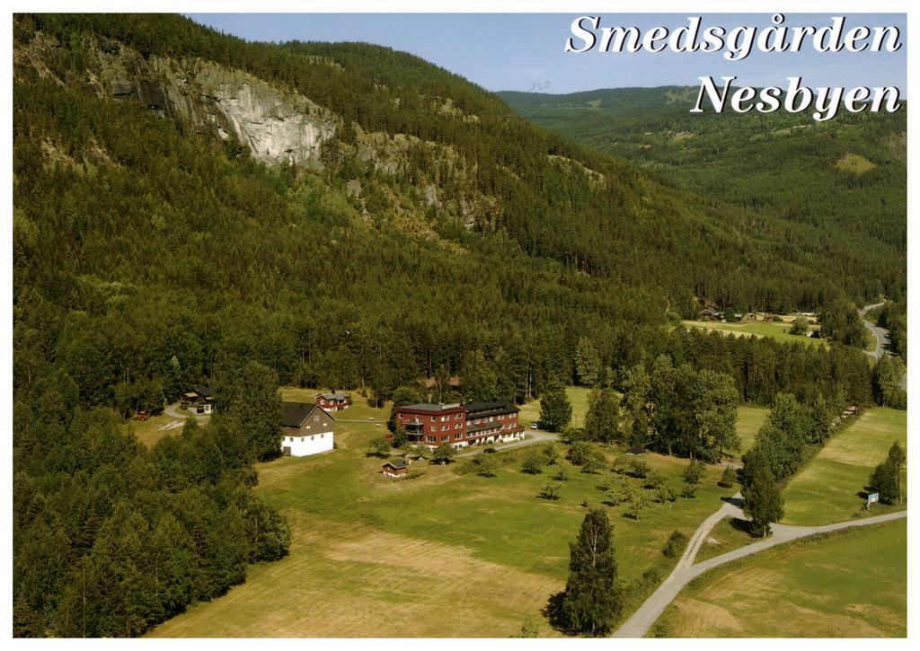 Smedsgarden Hotel Nesbyen Bagian luar foto
